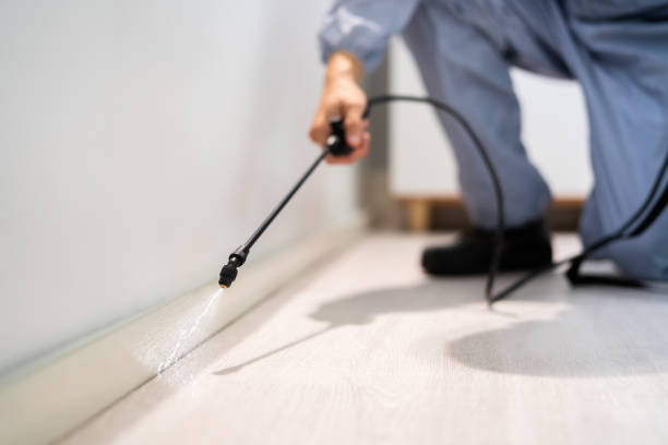 Licensed Cockroach Control service in Denton, TX - Nex Pest Control