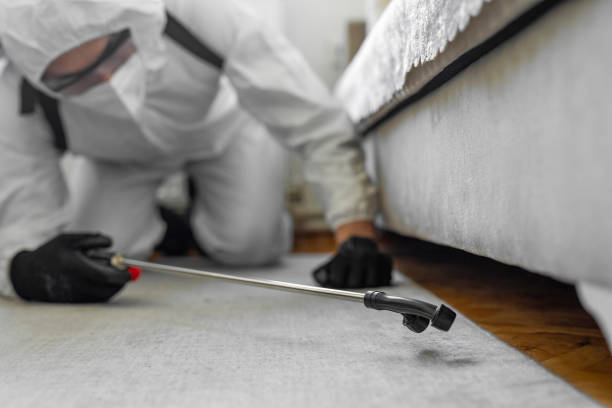 Professional Cockroach Control technician working in Denton, TX
