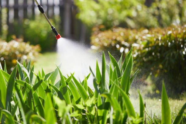 24/7 Emergency Cockroach Control experts in Denton, TX