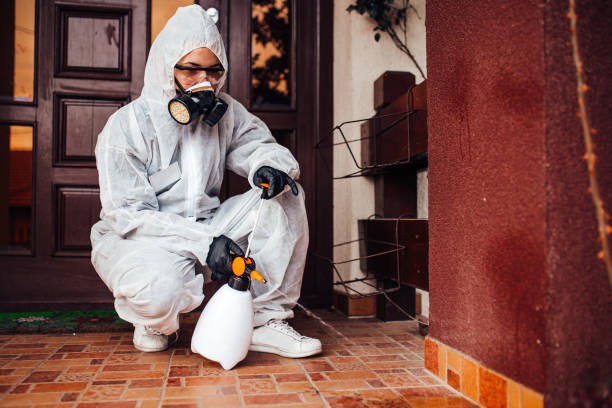 Reliable Cockroach Control contractor in Denton, TX by Nex Pest Control