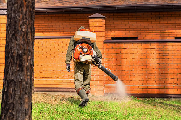 Top rated local Cockroach Control specialists in Denton, TX